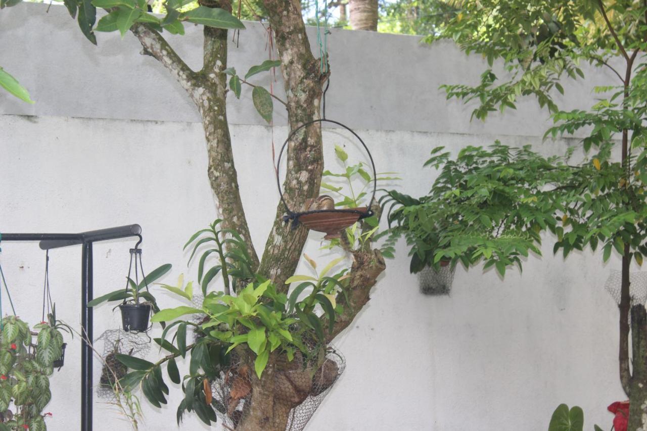 Palm Garden Guest House Galle Bagian luar foto